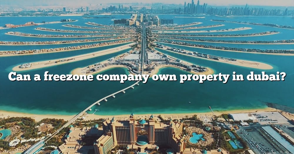 can-a-freezone-company-own-property-in-dubai-the-right-answer-2022