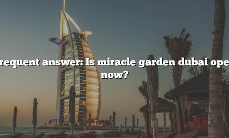 Frequent answer: Is miracle garden dubai open now?