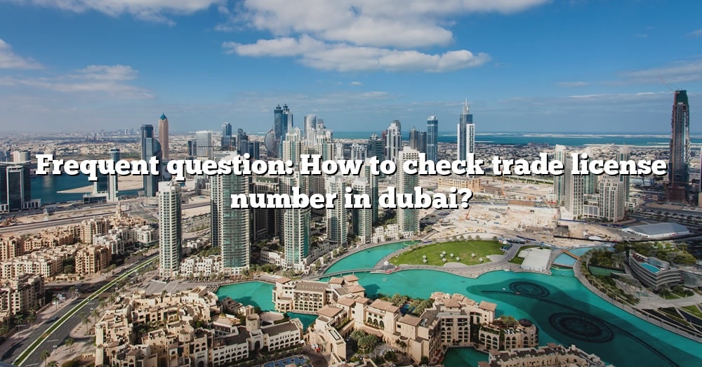 frequent-question-how-to-check-trade-license-number-in-dubai-the