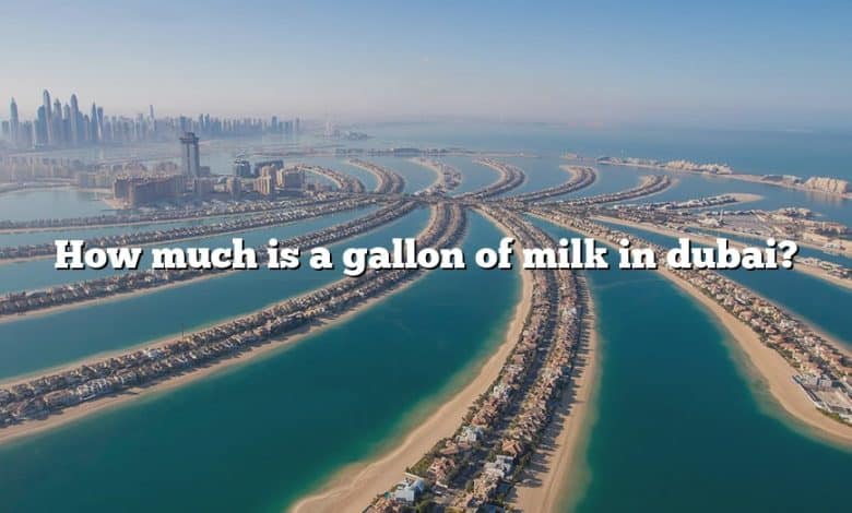 How much is a gallon of milk in dubai?