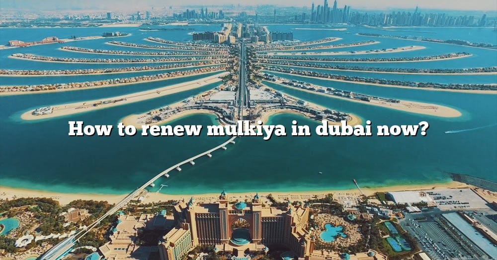 How To Renew Mulkiya In Dubai Now? [The Right Answer] 2022 - TraveliZta