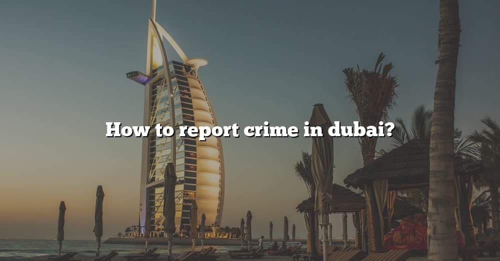 how-to-report-crime-in-dubai-the-right-answer-2022-travelizta