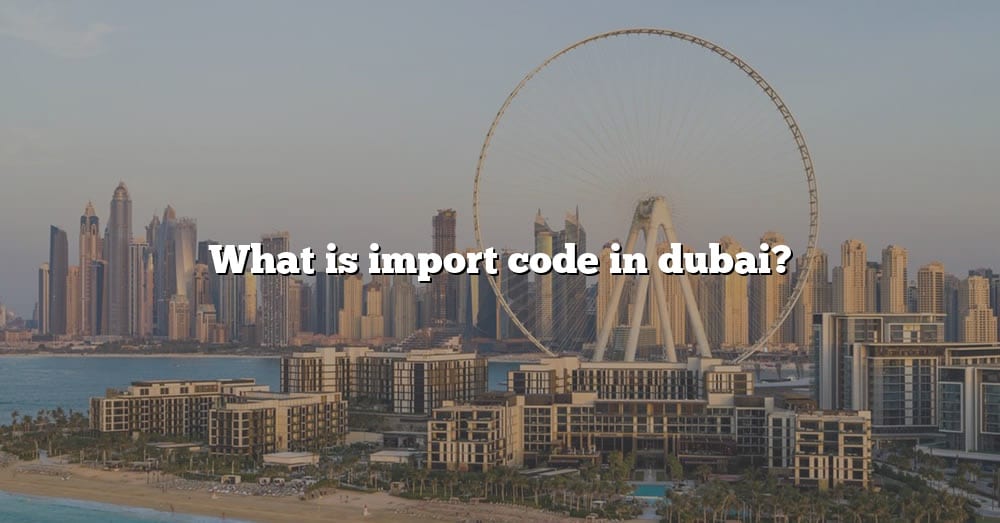 what-is-import-code-in-dubai-the-right-answer-2022-travelizta