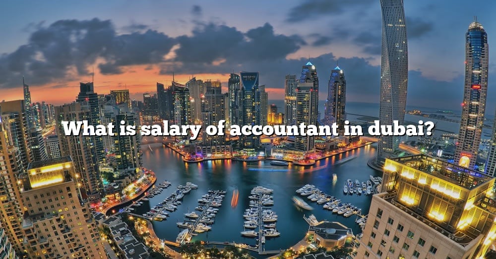 What Is Salary Of Accountant In Dubai The Right Answer 2022 TraveliZta