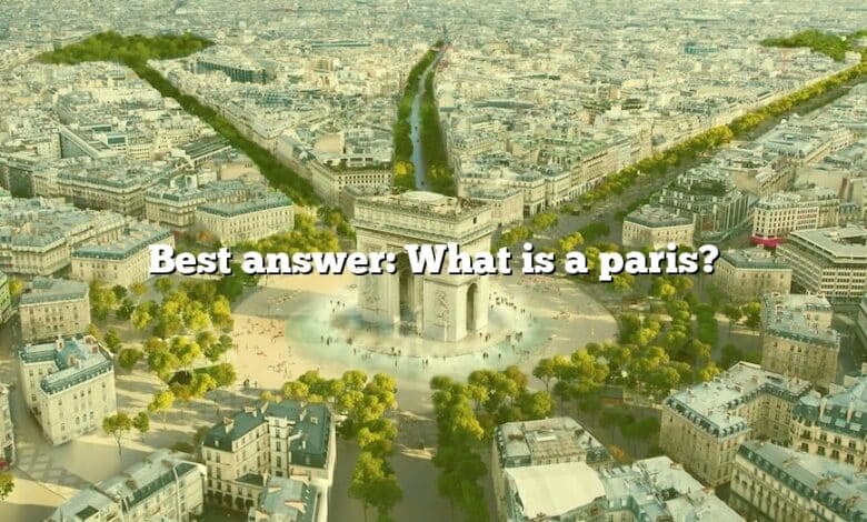 Best answer: What is a paris?