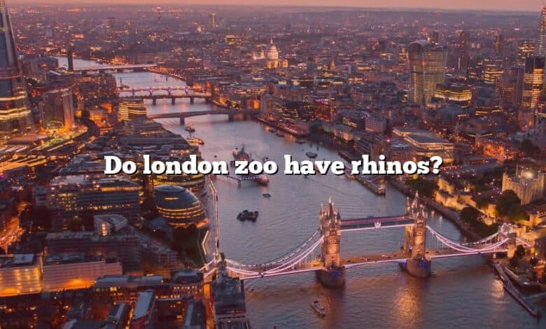 Do london zoo have rhinos?