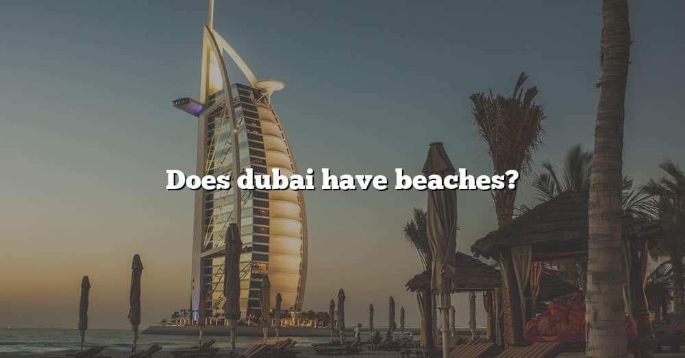 does-dubai-have-beaches-the-right-answer-2022-travelizta