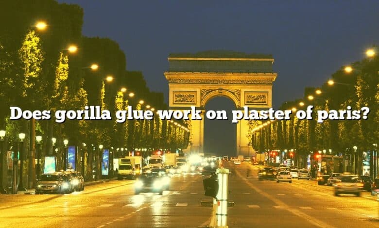 Does gorilla glue work on plaster of paris?