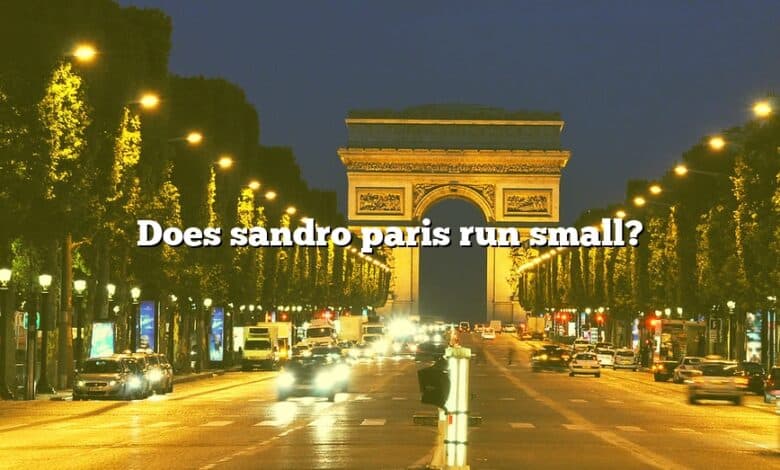 Does sandro paris run small?