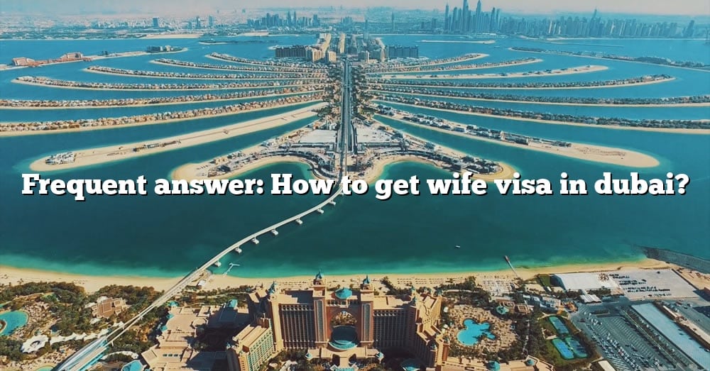 the-complete-guide-dubai-visa-requirements-2022-2022