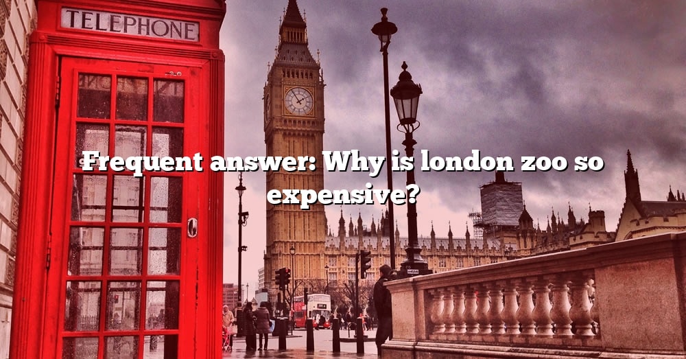 frequent-answer-why-is-london-zoo-so-expensive-the-right-answer