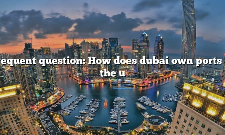 Frequent question: How does dubai own ports in the u