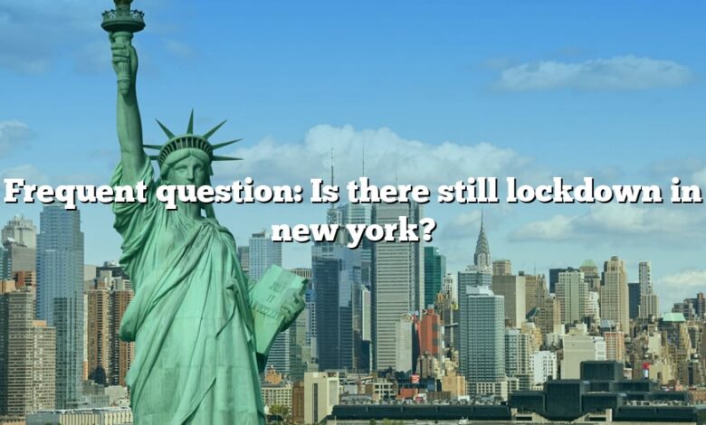 Frequent question: Is there still lockdown in new york?