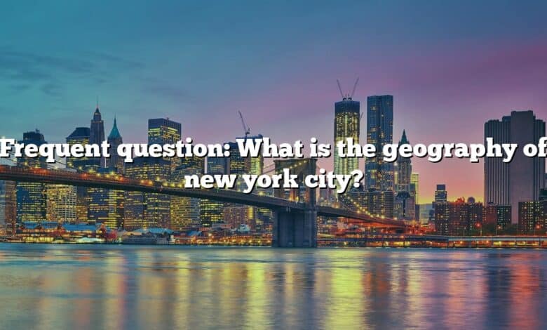 Frequent question: What is the geography of new york city?