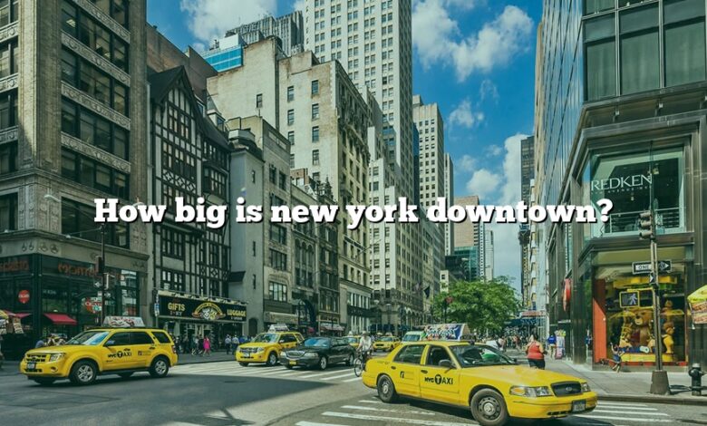 How big is new york downtown?