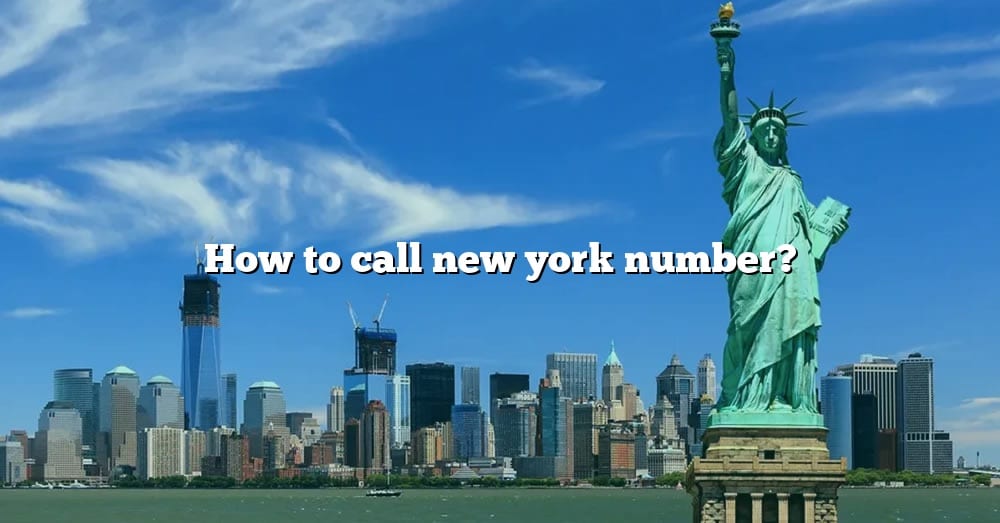 how-to-call-new-york-number-the-right-answer-2022-travelizta