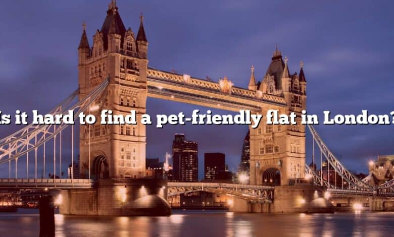 Is it hard to find a pet-friendly flat in London?