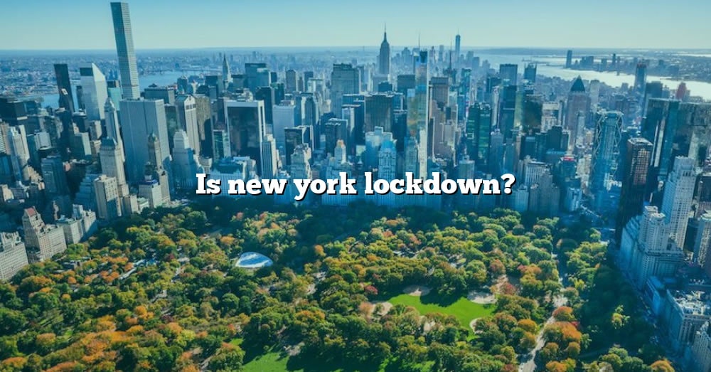 Is New York Lockdown? [The Right Answer] 2022 TraveliZta