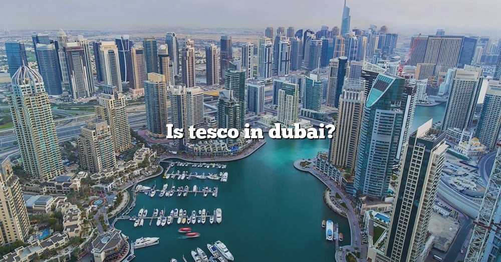 is-tesco-in-dubai-the-right-answer-2022-travelizta