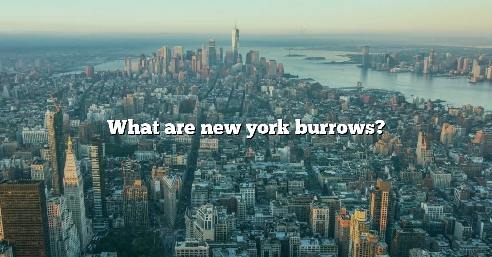 What Are New York Burrows? [The Right Answer] 2022 TraveliZta