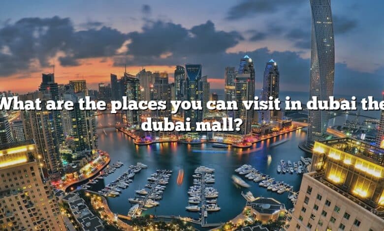 What are the places you can visit in dubai the dubai mall?