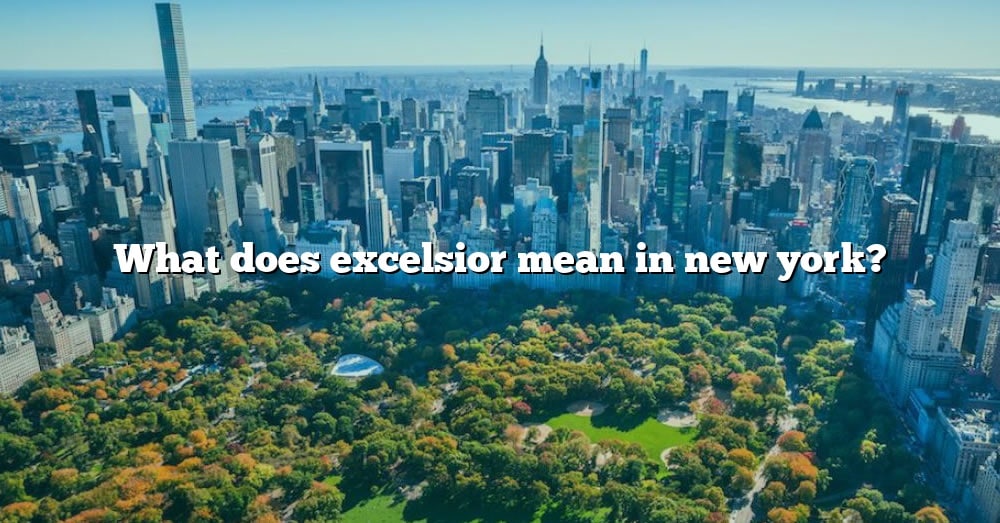 What Does Excelsior Mean In New York? [The Right Answer] 2022 - TraveliZta