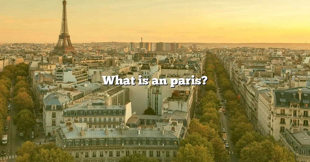 what-is-an-paris-the-right-answer-2022-travelizta