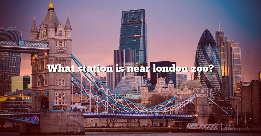 what-station-is-near-london-zoo-the-right-answer-2022-travelizta