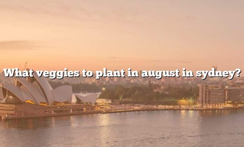 What veggies to plant in august in sydney?