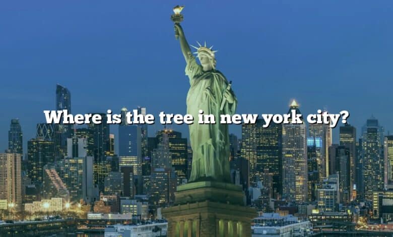 Where is the tree in new york city?