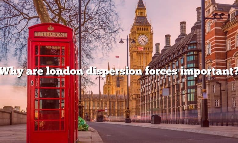 Why are london dispersion forces important?