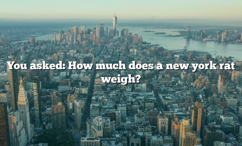 You asked: How much does a new york rat weigh?