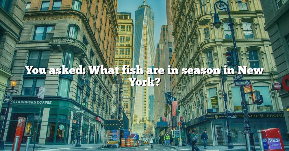 you-asked-what-fish-are-in-season-in-new-york-the-right-answer-2022