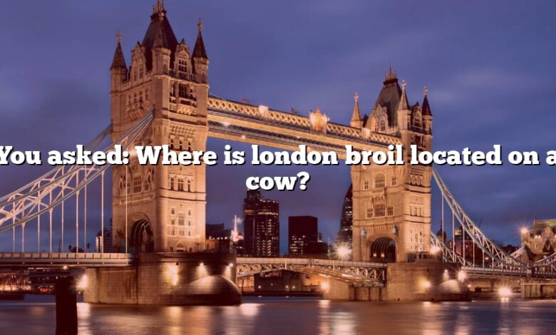 You asked: Where is london broil located on a cow?