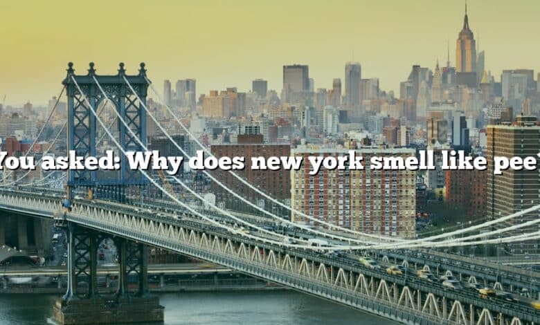 You asked: Why does new york smell like pee?