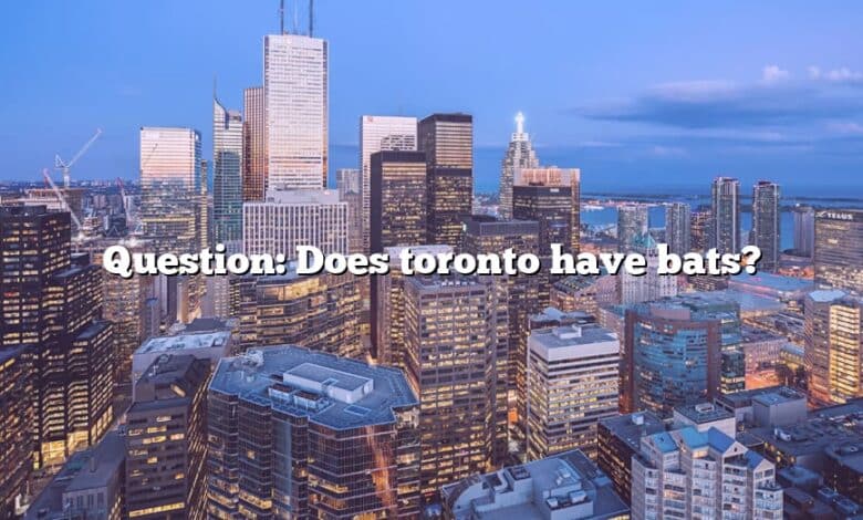 Question: Does toronto have bats?